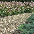 Castle Beige grind 4-10 mm (bigbag a 1500 kg)