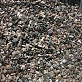 Verp. Japans split 2-6 mm (20 kg)