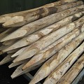 Kastanje houten Palen Gepunt/Geschild 250 cm 8/10 cm