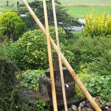 Bamboepalen voor decoratie 10/12x300 cm