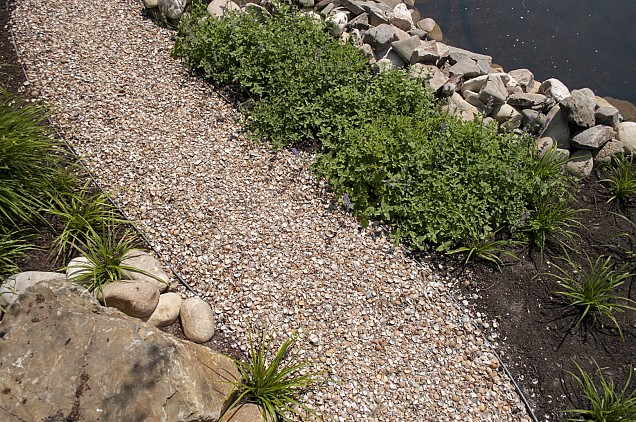 Schelpen 3-20 mm (mini bigbag a 350 kg)