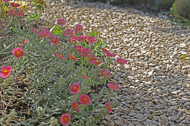 Castle Beige grind 10-20 mm (mini bigbag a 500 kg)