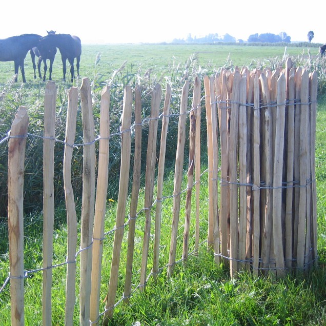 Kastanjehouten Schapenhekken:460x90cm 8 cm