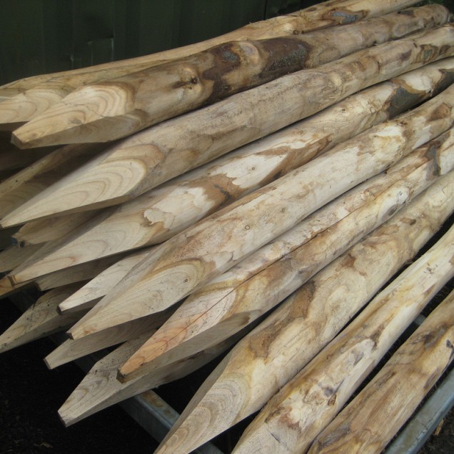 Kastanje houten Palen Gepunt/Geschild 250 cm