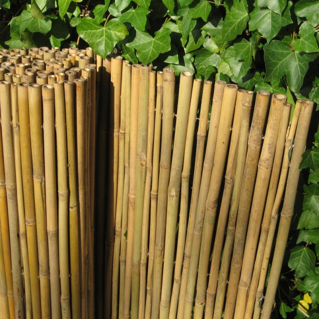 Bamboerolscherm Dalian 200x180