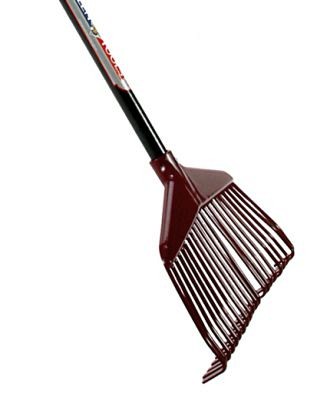 Bladhark 40 cm breed