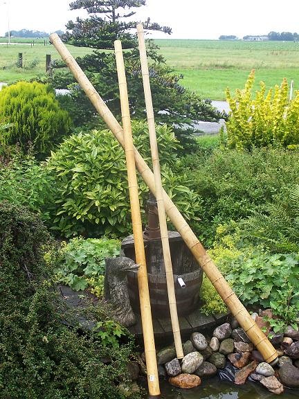 Bamboepalen voor decoratie 10/12x300 cm