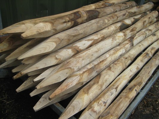 Kastanje houten Palen Gepunt/Geschild 250 cm 8/10 cm